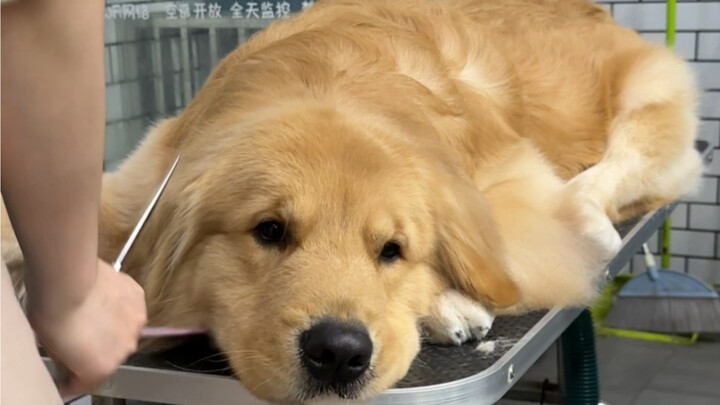 Ibuku sudah ngeluarin uang buat aku, kamu udah dapetin dari ibumu belum?