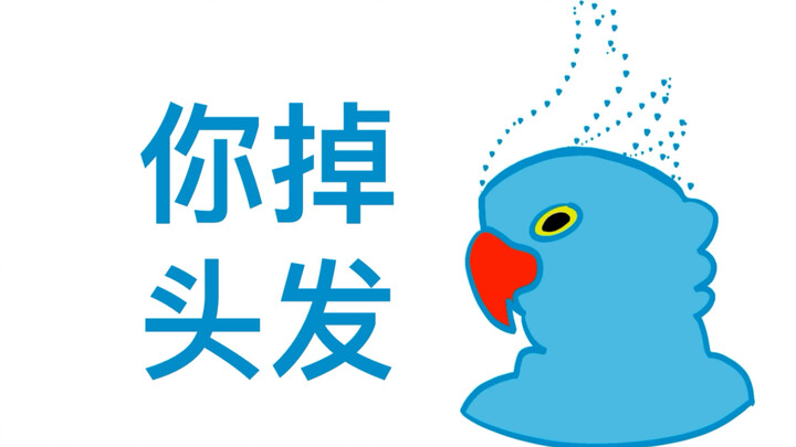 Mr. Mofan's Parrot Imitates Vulgar Language