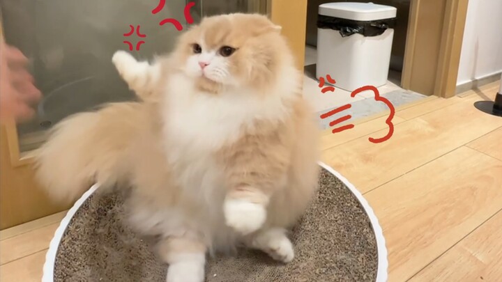 ฉันก็ไม่อยากทำให้เขาโกรธหรอกนะ😍 แต่เวลาเขารู้สึกโกรธนี่น่ารักสุดๆ เลย!