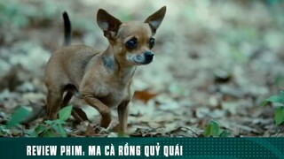 REVIEW PHIM: “ MA CÀ RỒNG QUỶ QUÁI “ ( Phần 8 ) #reviewphimhaynhat