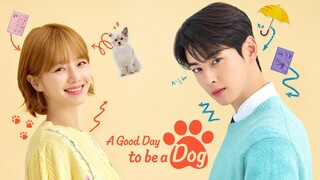 EP. 6 | A Good Day to Be a Dog (2023) English Sub