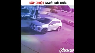 Đập Chuôt Ngoài Đời Thực