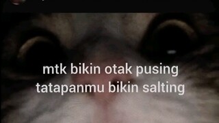 Salting bgt lah, Siapa tuh