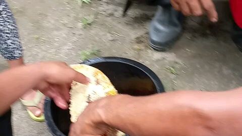 HARVESTING HONEY🐝🍯