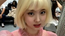 【twice】All members have blonde hair