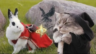 Blockbuster: Rabbit Breaks the Sky