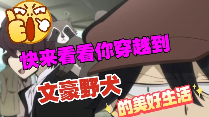 [Random Spin] Come and see your life in [Bungo Stray Dog]