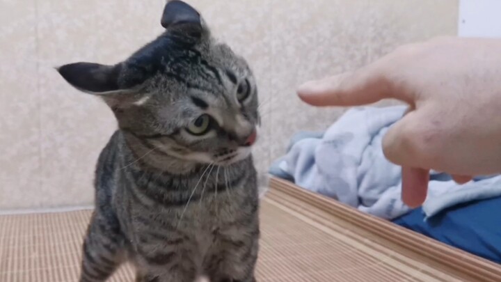 อาจารย์เหมียว: โอ้โห! เป็นคนขี้เผ็ดมาแต่เกิด