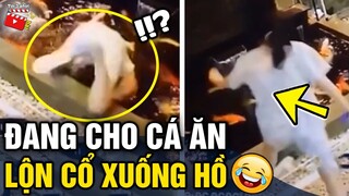 Tin 3 Phút Hài | Tổng hợp những tình huống hài hước 'KHÓ ĐỠ' khiến người ta 'DỞ KHÓC DỞ CƯỜI'