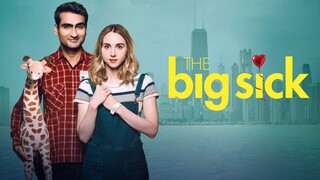 The Big Sick (2017) SUB INDO