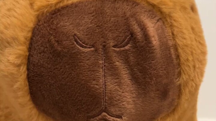 If my boyfriend messes with me, I’ll beat up his little chicken.