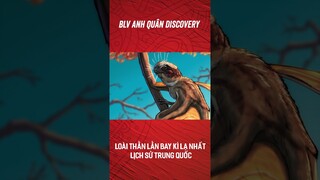 LOÀI THẰN LẰN BAY KÌ LẠ NHẤT LỊCH SỬ TRUNG QUỐC #shorts