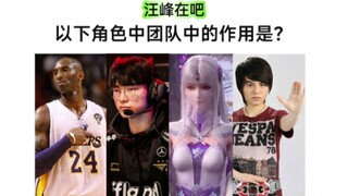 以下角色在团队中的作用 汪吧打分