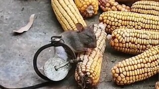 "Truly Hard to Change"