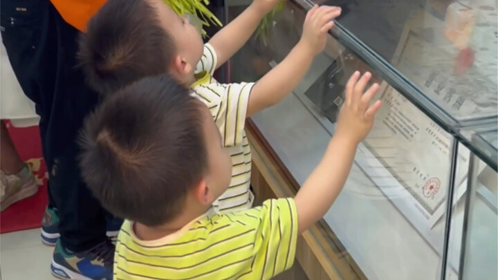 Immersive evening with twins: We were just out for a stroll when we ended up at the supermarket…