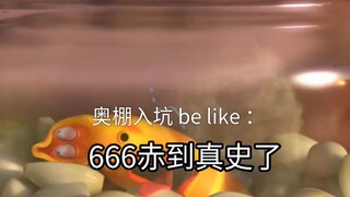 奥棚入坑现状 be like ：