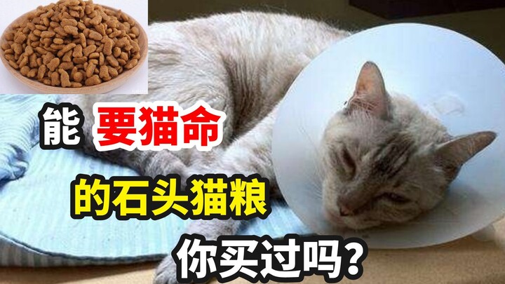 Makanan kucing berbahan batu yang bisa “mengancam nyawa” kucing, tertarik mencobanya?
