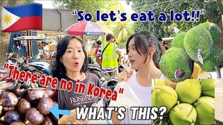 [🇵🇭🇰🇷]Special daily life of Koreans in the Philippine Province[tropical fruits]