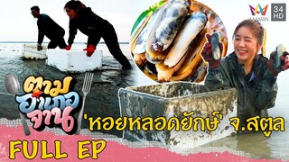 ตามหาวัตถุดิบขนาดไม่ธรรมดา 'หอยหลอดยักษ์' จ.สตูล  | ตามอำเภอจาน | 1 เม.ย.66 Full EP