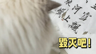 لا يمكن تصوره... من كان يعارض بشدة تربية القطط في البداية هما هو وابنه!