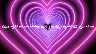 Bông hoa chẳng thuộc về ta lyrics video |Nhu Viet , DEUS, Wind