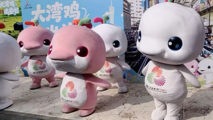 Second group dance—why are all these “chicken babies” so short now that you can’t even see their leg