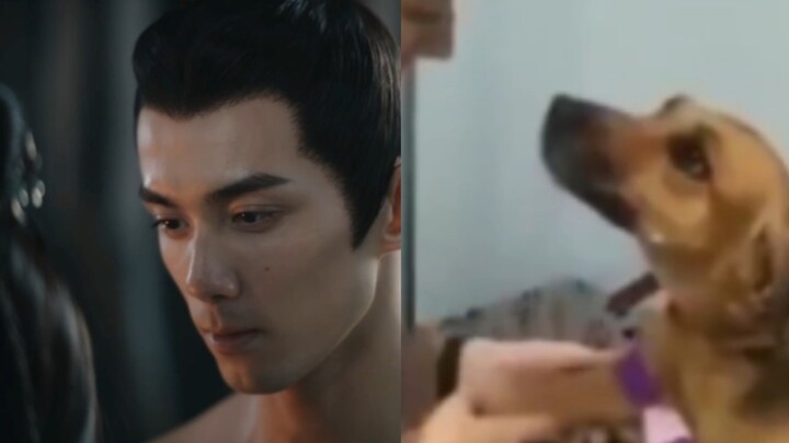 Saya tidak ingin memotongnya seperti ini, tapi rasanya pas sekali