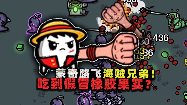 Anh em khoai tây? Anh em hải tặc! Luffy biến thành dạng khoai tây, lại còn thốt lên rằng mình đã ăn 