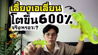 ทดลอง เลี้ยงไดโนเสาร์ โตขึ้น 600% จริงหรือไม่