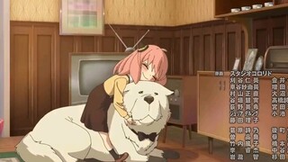 间谍过家家第一季下半部TV片尾曲《色彩》