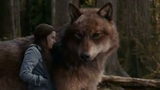 Eclipse Full Movie. Twilight Saga Part 3. 720p. Lionsgate