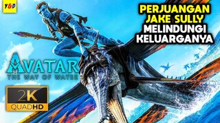 Perjuangan Jake Sully Melawan Orang Langit Demi Keluarga Dan Pandora - ALUR CERITA FILM