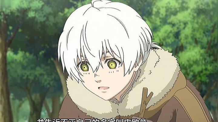Anime: Seorang anak laki-laki abadi melakukan perjalanan keliling dunia di bawah asuhan seorang wani