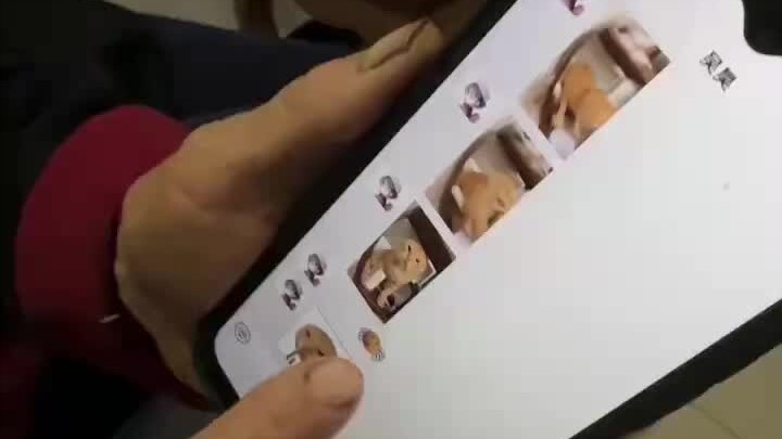 My grandma thinks round-headed old cats are bad — what do you think?