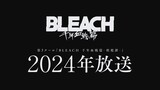 Bleach: Thousand Year Blood War Part 3: The Conflict| 2024