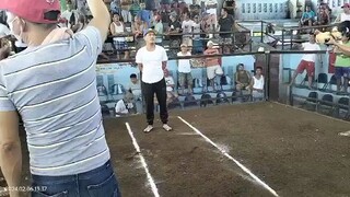 Gilmore Grey win