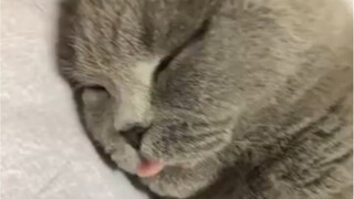 น่ารักอยากเลีย