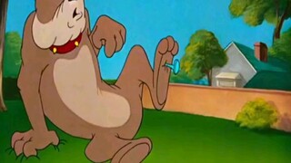(TikTok Jerry and tom) Dog and Tom | Kids