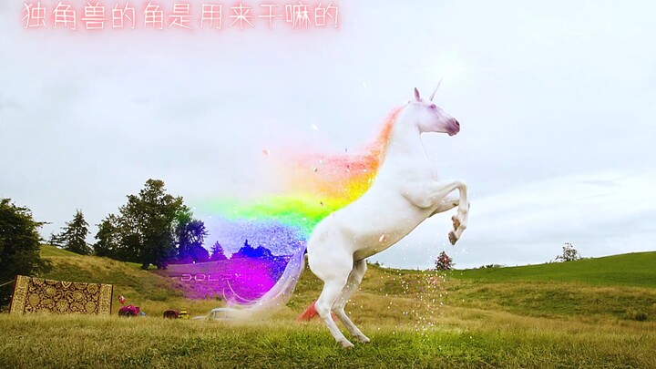 Such a beautiful sunshine pony turns out to be a man-eating hellish steed!