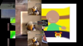 D..Zoopals In Angry