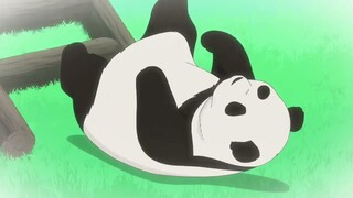 Objetivo localizado - Kyuujitsu no Warumono-san Cap 5 #anime #panda #viral