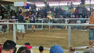 LUCBAN QUEZON VS MAJAYJAY LAGUNA 🐓