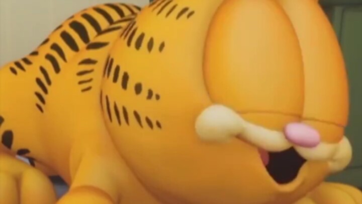 看加菲猫懂得:不沟通真的不行 不沟通永远都不会懂！