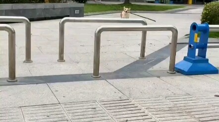 That goofy corgi is actually pretty cute.