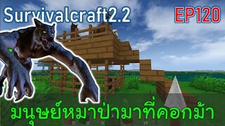 มนุษย์หมาป่ามาที่คอกม้ากับคอกหมูป่า | survivalcraft2.2 EP120 [พี่อู๊ด JUB TV]