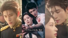 “Red Beans Through the War Smoke”"红豆寄烽烟" (hóngdòu jì fēngyān)