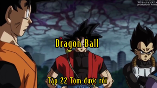 Dragon Ball_Tập 22 Tóm được rồi