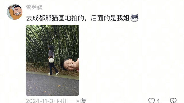 Những lời nhận xét sắc bén về ảnh chụp trong phần bình luận!