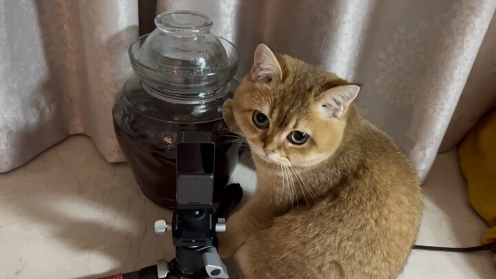 หนึ่งสต็อก