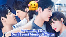 Reblooming Blue  Ep 4